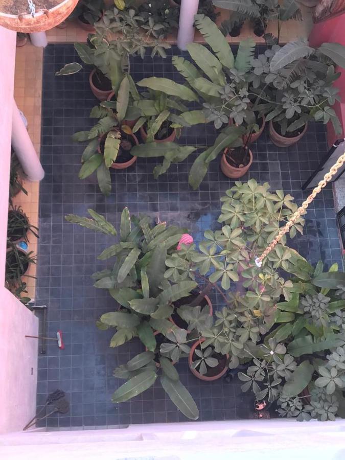 Aparthotel Meson San Felipe Guadalajara Esterno foto